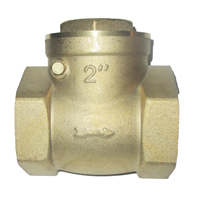 Check Swing Euro Valve