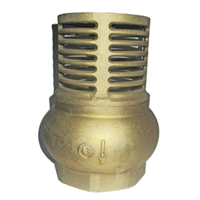 Check Pie Canastilla Euro Valve
